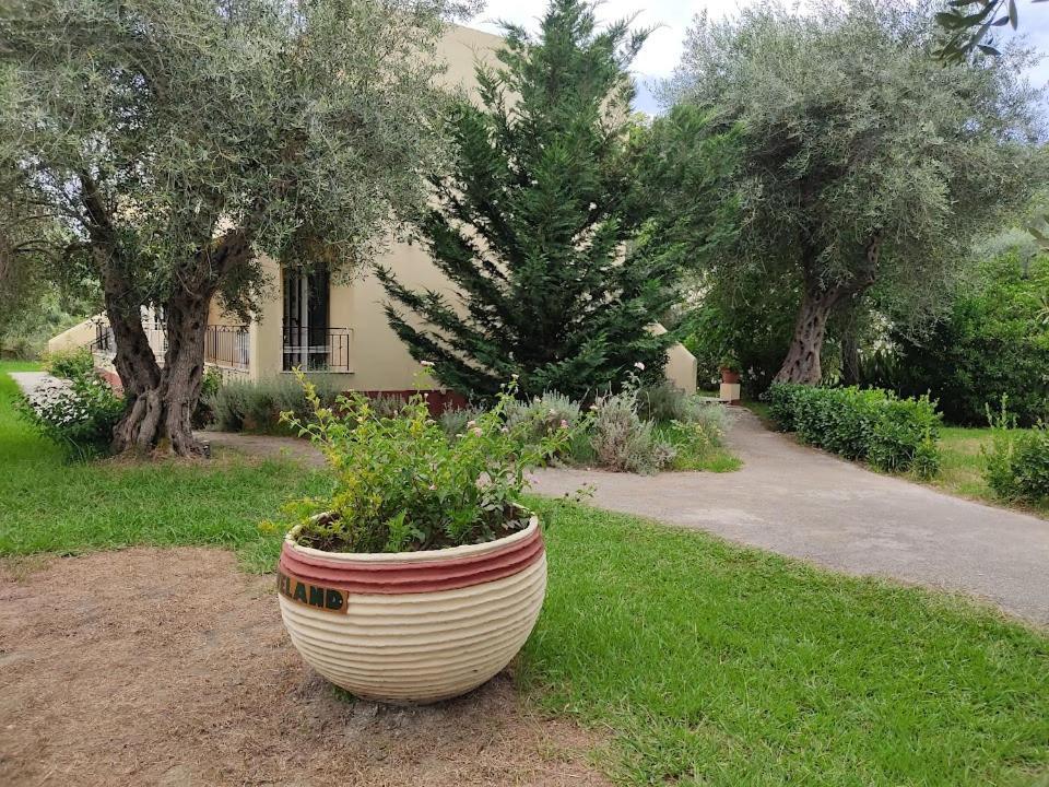 Oliveland Apartments Kavos Exterior photo